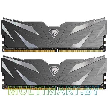Оперативная память Netac Shadow II Black 2x8GB DDR4 PC4-28800 (NTSWD4P36DP-16K)